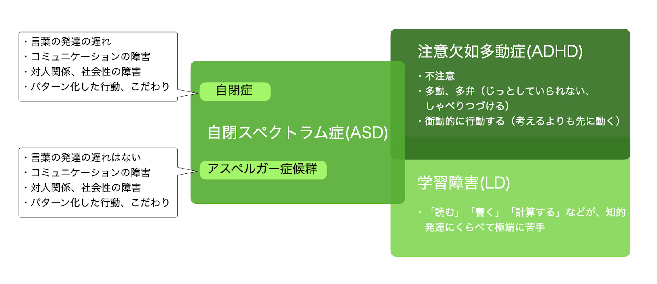 発達障害の分類