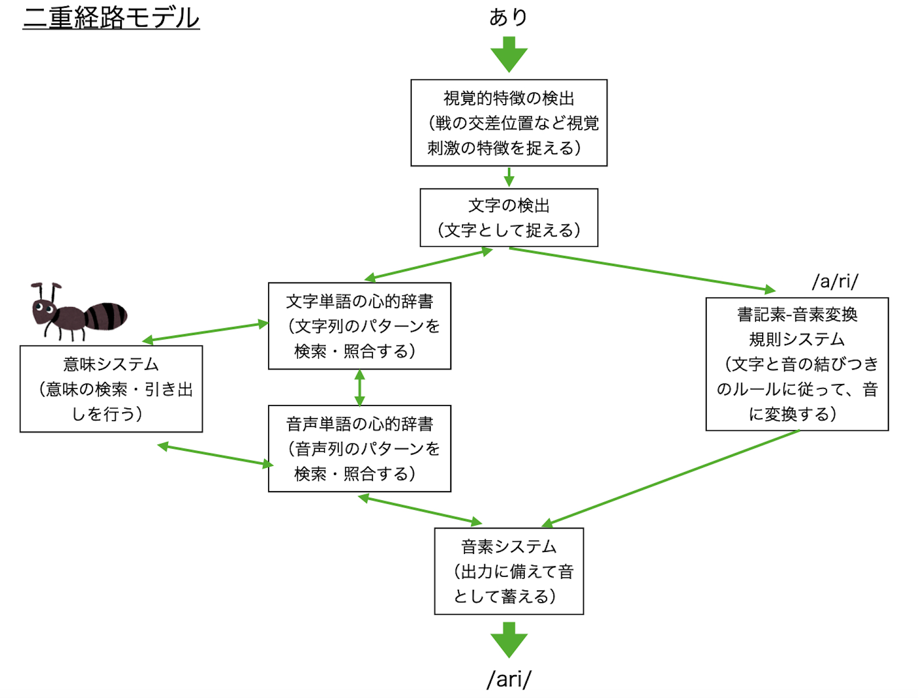 二重経路モデル