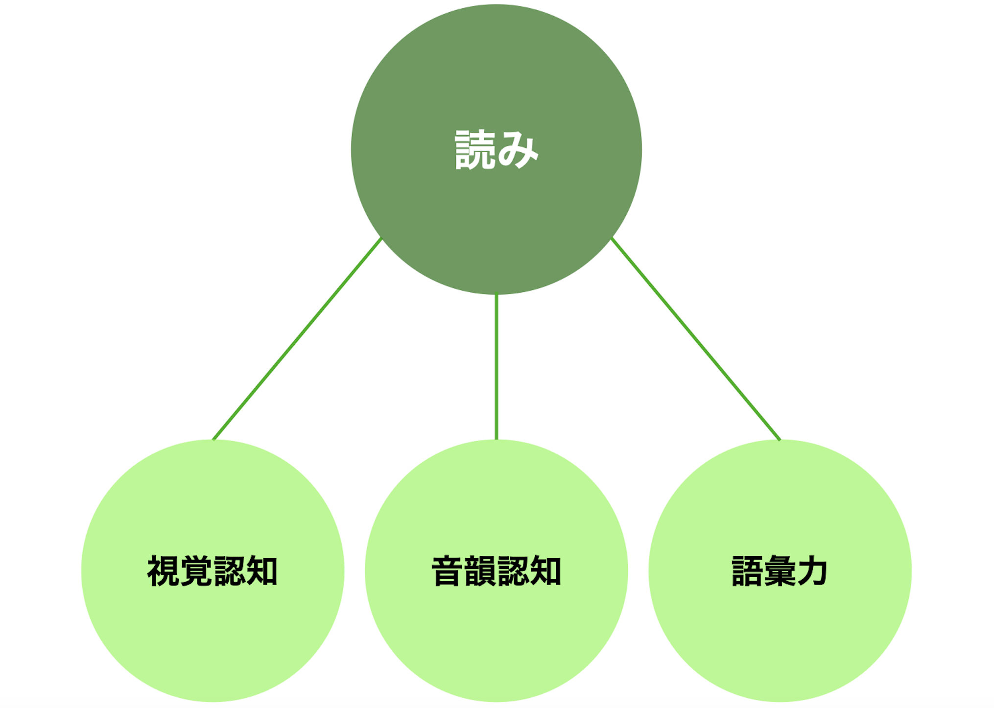 読みと読みを支える認知機能